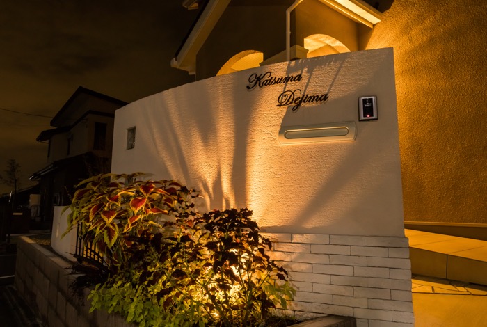 植栽を下から照らすことで、茎や葉の影が壁に映り込み、とても素敵な雰囲気が楽しめますね。