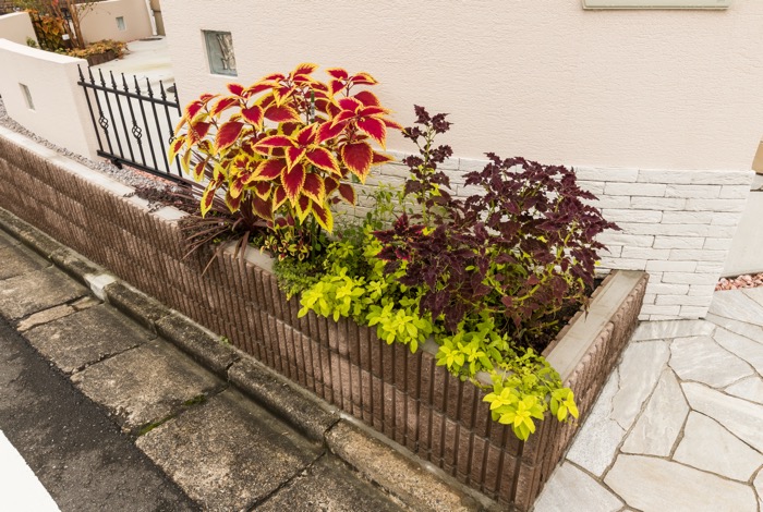 壁と化粧ブロックで挟まれたデッドスペースは、植栽を入れることで鮮やかな空間へと生まれ変わりました。