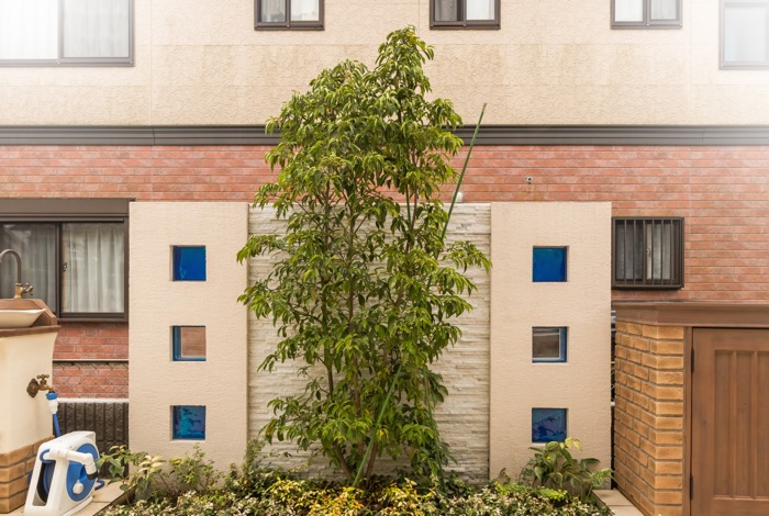 青とベージュの組み合わせはタイルテラスに隣接したデザインウォールにも踏襲されています。