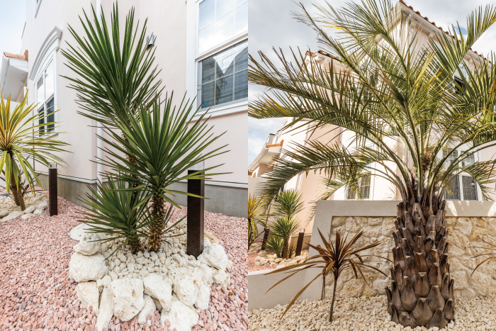 癒し 簡単】みかも石風ガーデニングキット